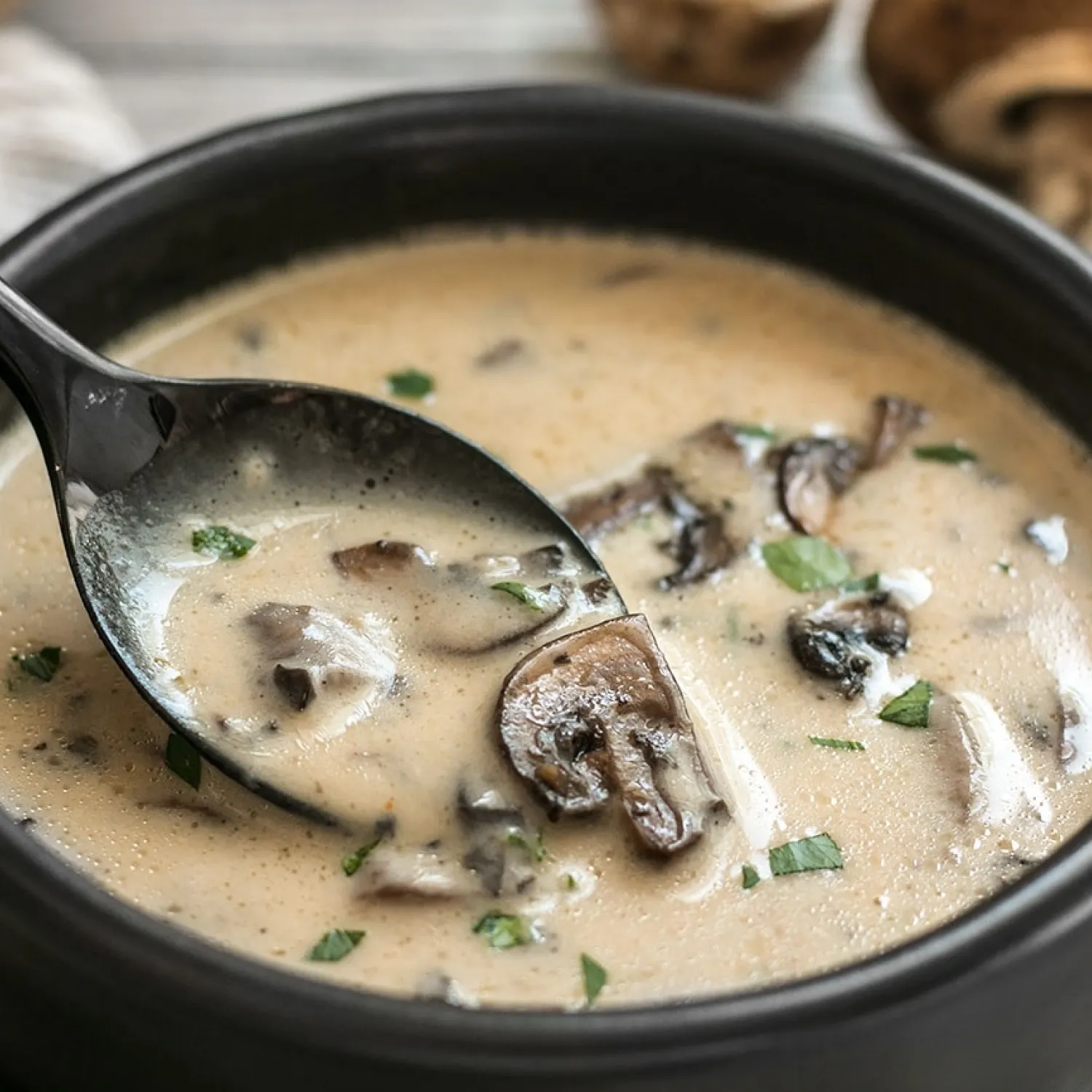 Cream of mushroom soup