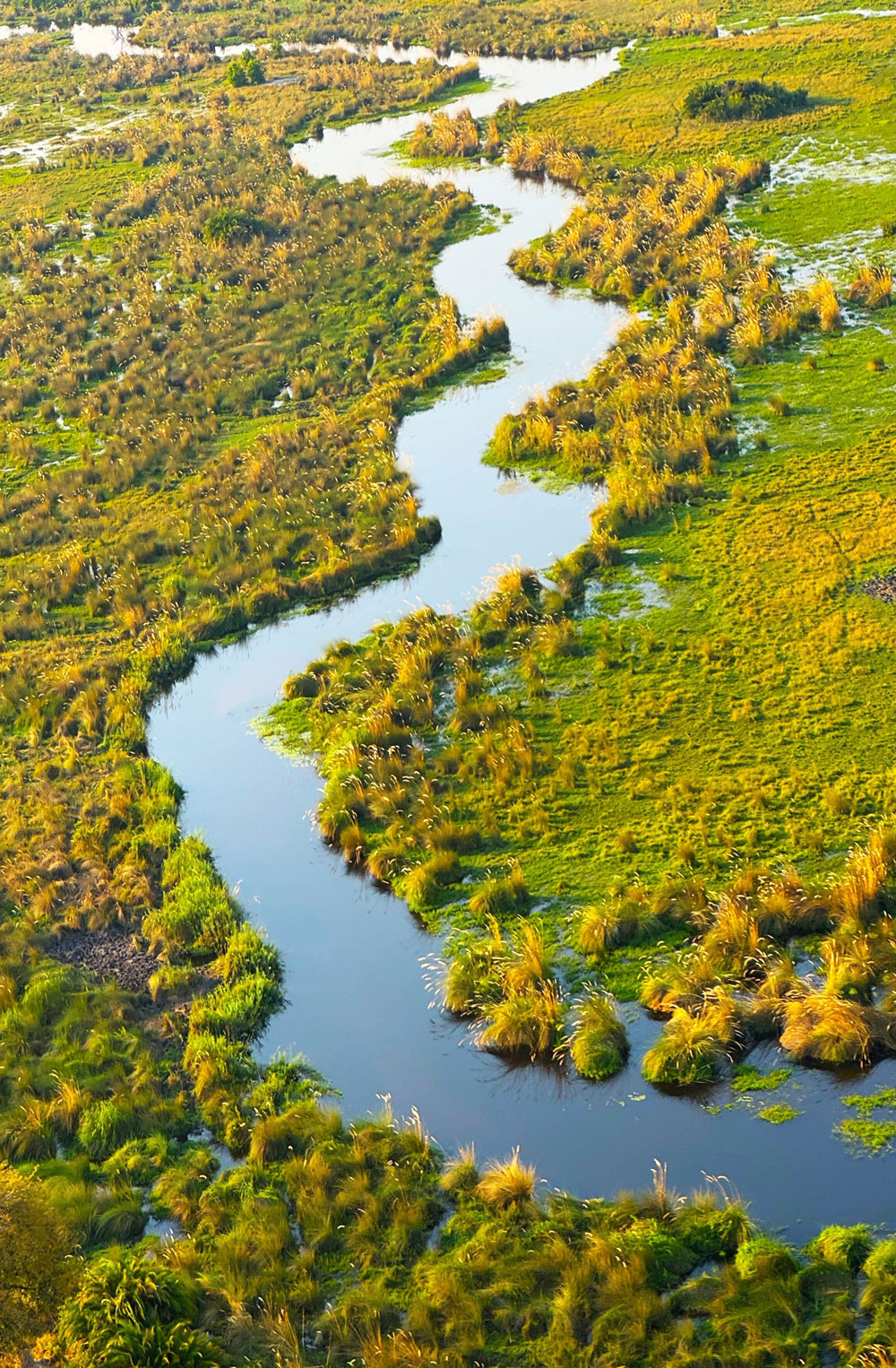 A winding river flowing through a lush green wetland with dense vegetation and patches of water.