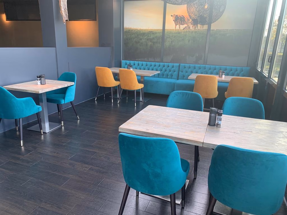 Modern restaurant met blauwe en gele stoelen rond houten tafels en een grote muurschildering van koeien in een veld.