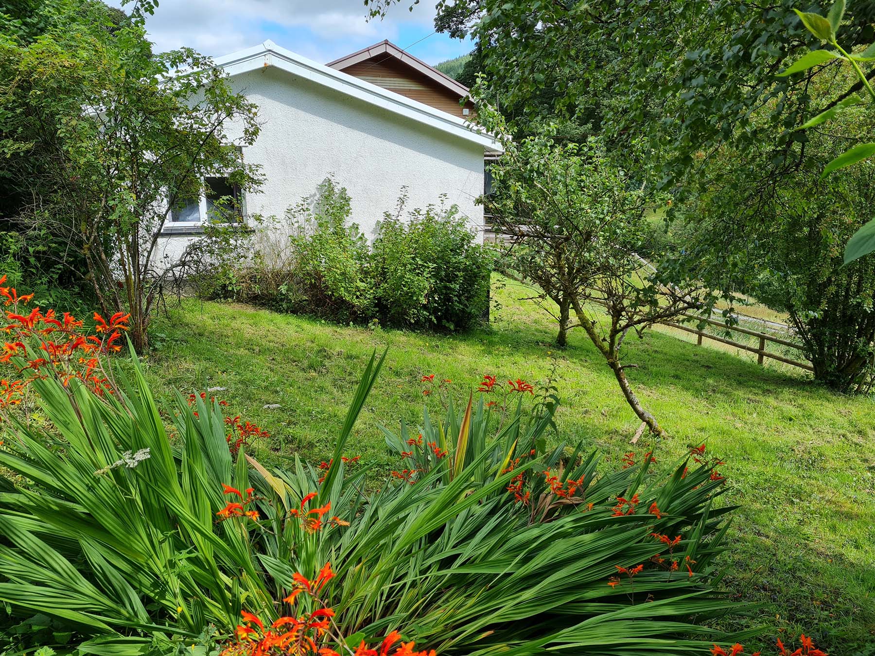 Parkwood Outdoors Dolygaer - The Cottage