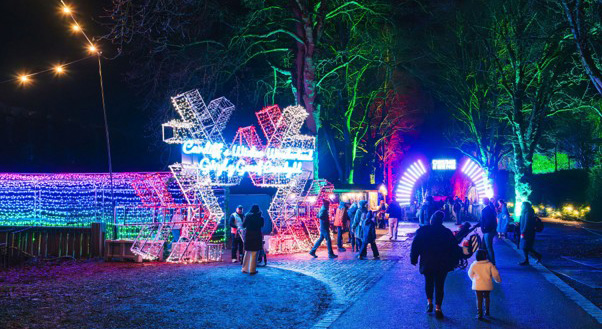 Christmas Newsletter