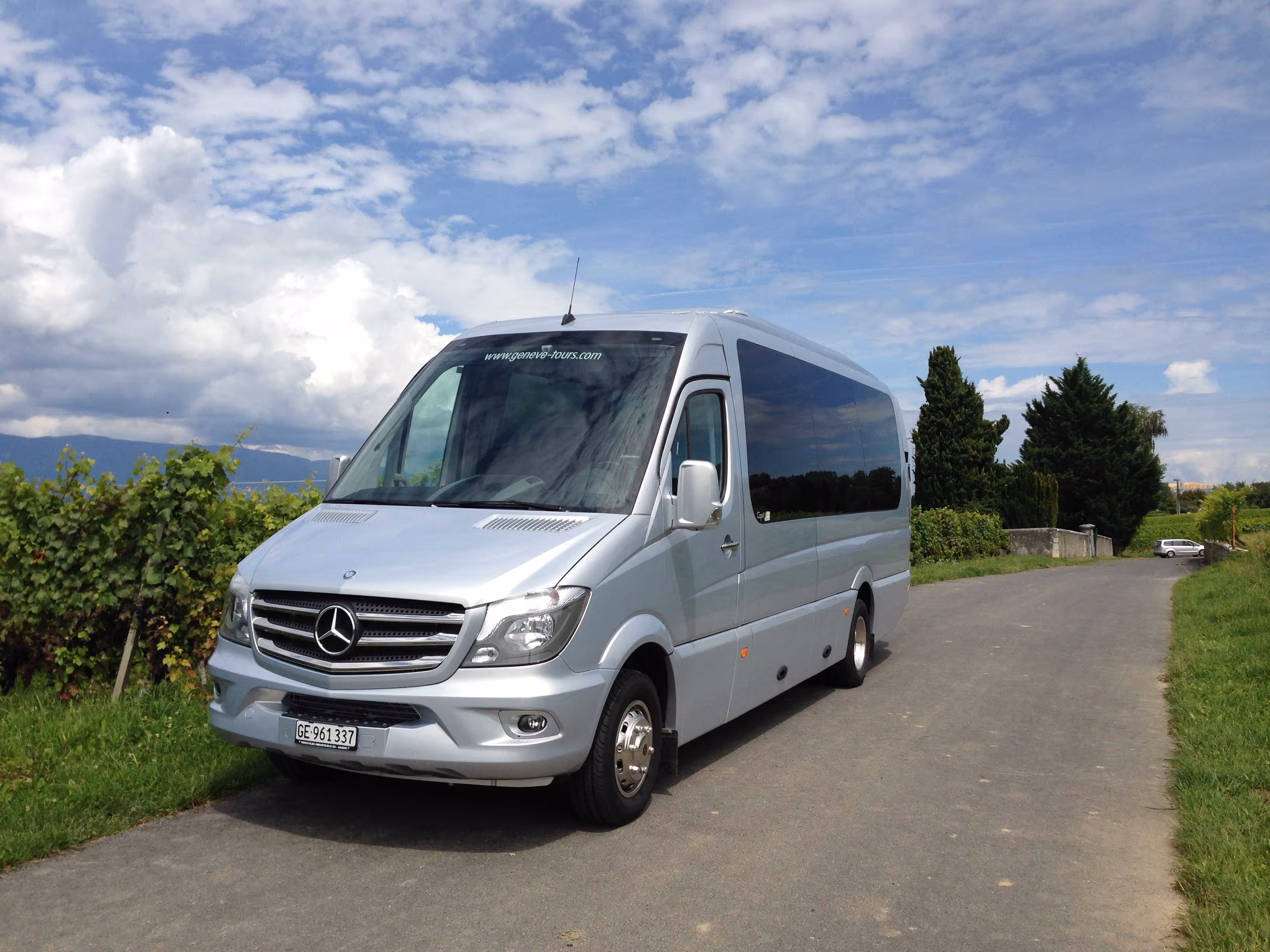 Minibus Mercedes-Benz gris clair stationné sur une route de campagne bordée de vignes, sous un ciel nuageux.