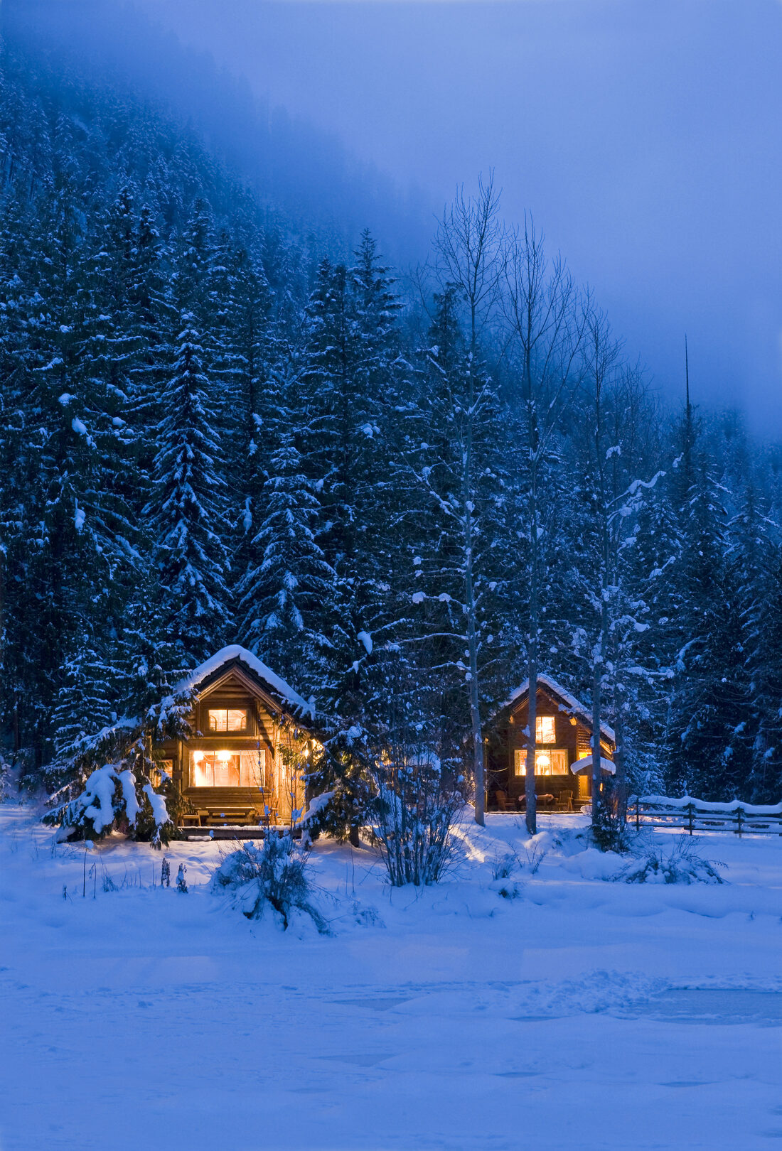 Two cabins glowing at dusk beneath tall snow covered evergreens