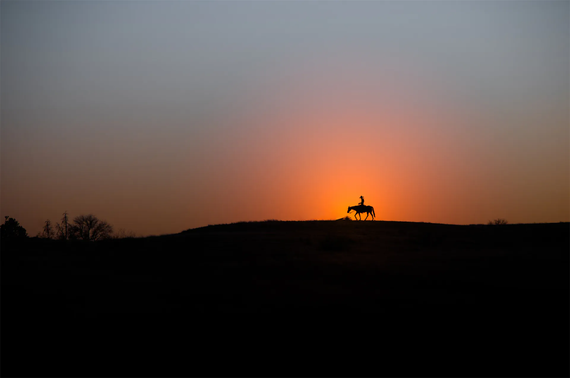 Silhouette of a person riding a horse in the sunset.
