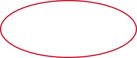 Red elliptical outline on a transparent background.