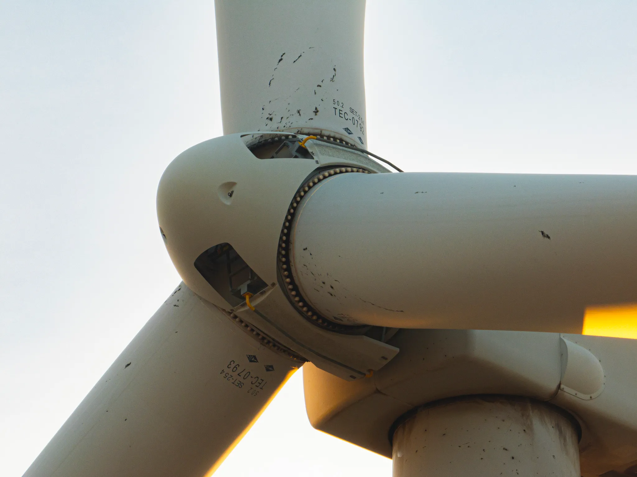 Close-up of a wind turbine hub and blade roots