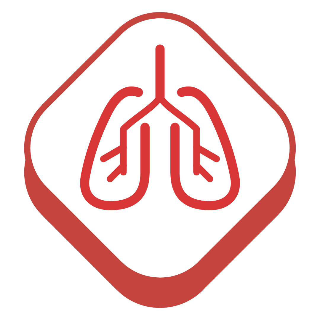 Diagram of human lungs showing bronchial tubes and alveoli.