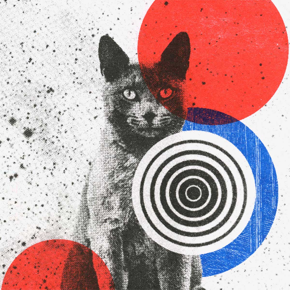 Ambiguum Riso Print #5