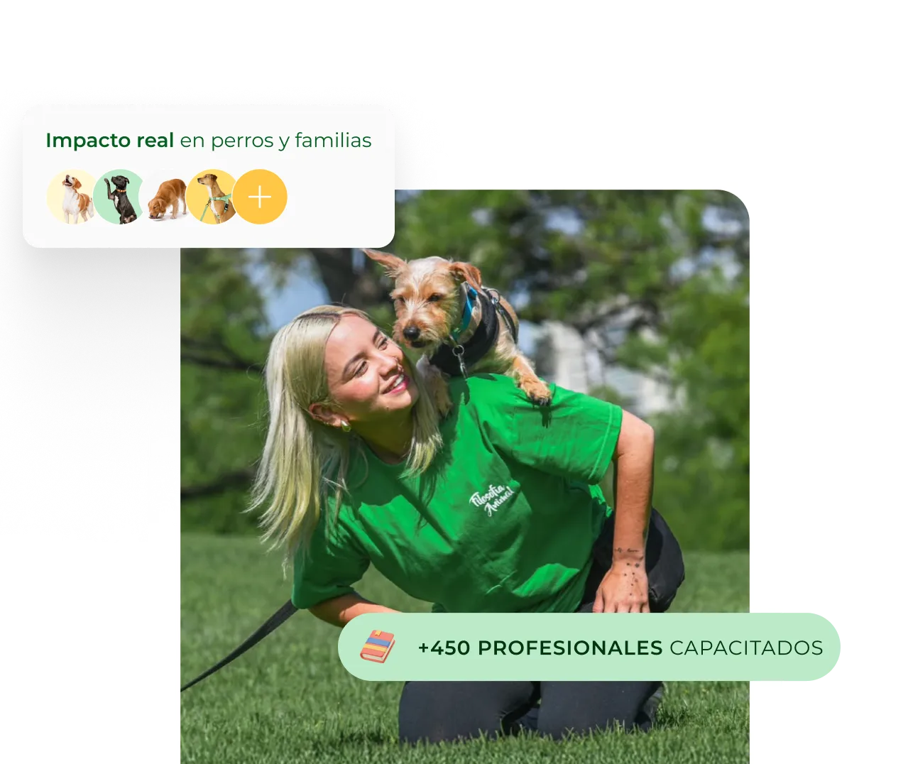 Mujer con camiseta verde arrodillada en césped mientras carga un perro pequeño sobre sus hombros, ambos al aire libre.