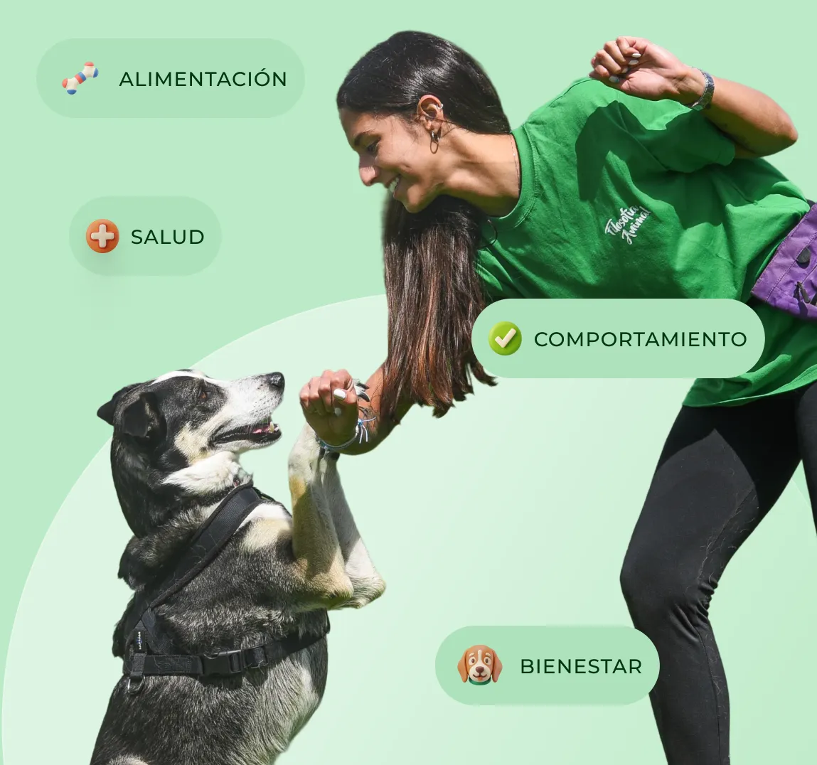 Mujer sonriente con camiseta verde dando la pata a un perro negro y blanco con arnés, con etiquetas de alimentación, salud, comportamiento y bienestar.