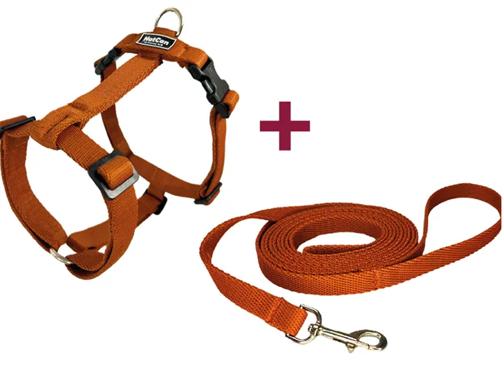 Arnés y correa para perro de color naranja unidos por un signo más.
