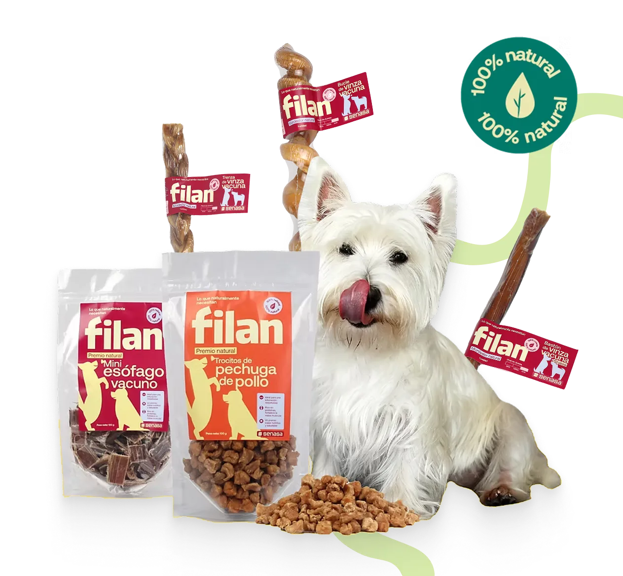 Perro blanco pequeño al lado de dos bolsas de golosinas naturales para perros y varios huesos masticables etiquetados como 100% naturales.