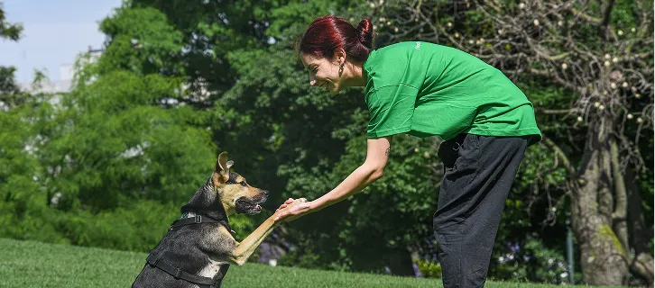 Mujer con camiseta verde dándole la pata a un perro pastor alemán en un parque verde.