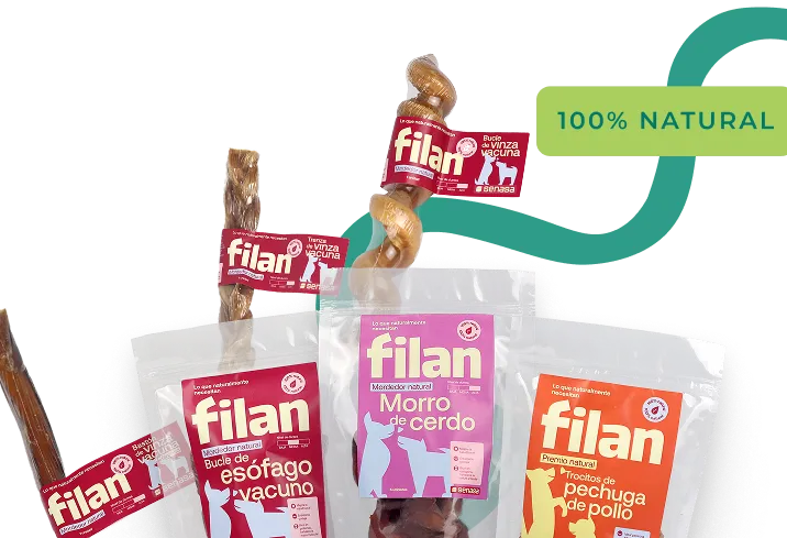 Cuatro paquetes y productos filan naturales para perros: bucle de esófago de vacuno, morro de cerdo y trocitos de pechuga de pollo, aprobados por senasa.