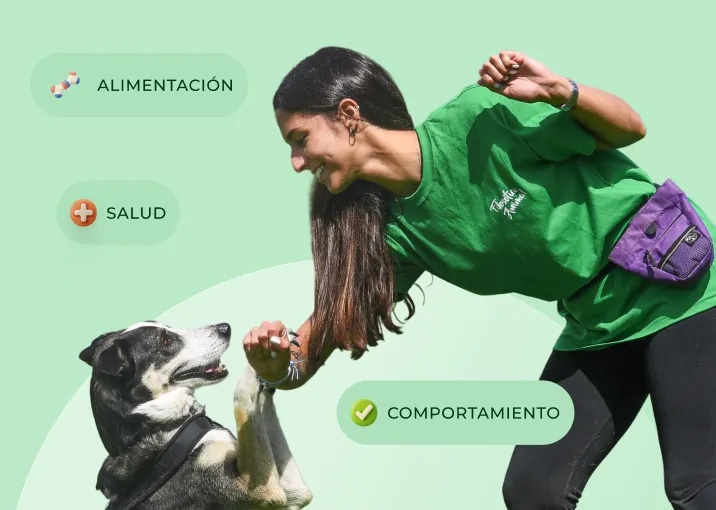 Mujer sonriente con camiseta verde dando la pata a un perro negro y blanco con arnés, con etiquetas de alimentación, salud, comportamiento y bienestar.