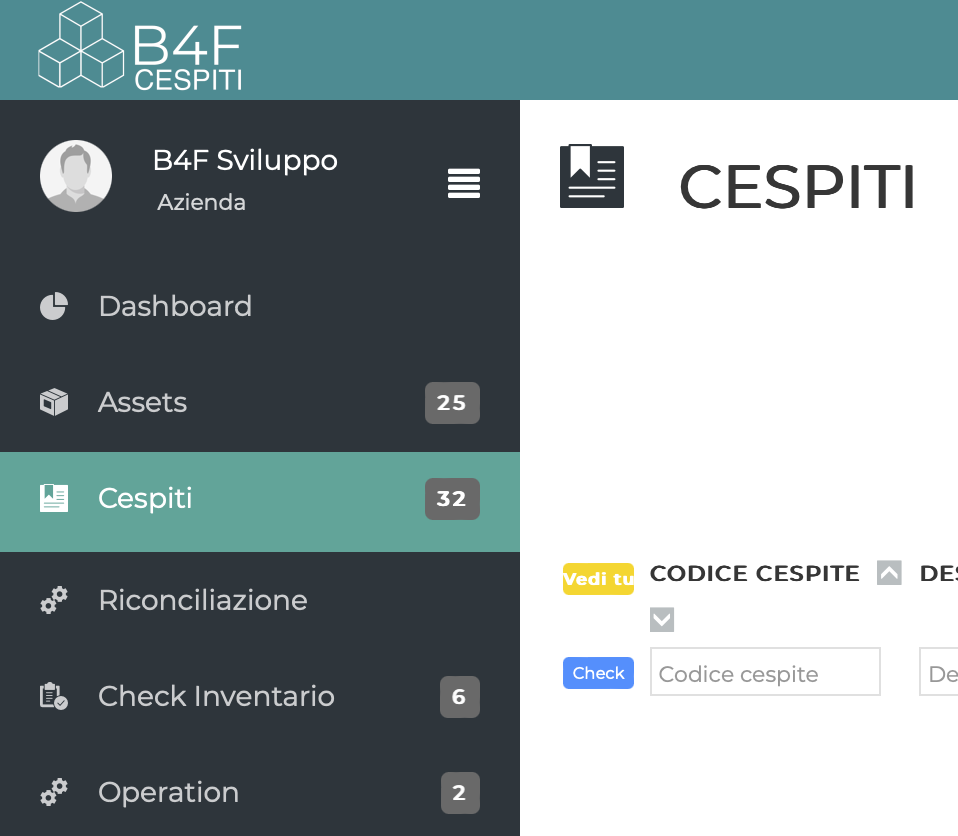 Schermata dashboard software B4F Cespiti