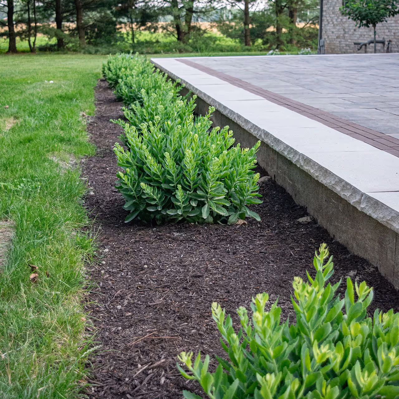 Clean, structured landscape design for a residential property in Arthur, IL featuring trimmed grass, mulch, and shrubs.