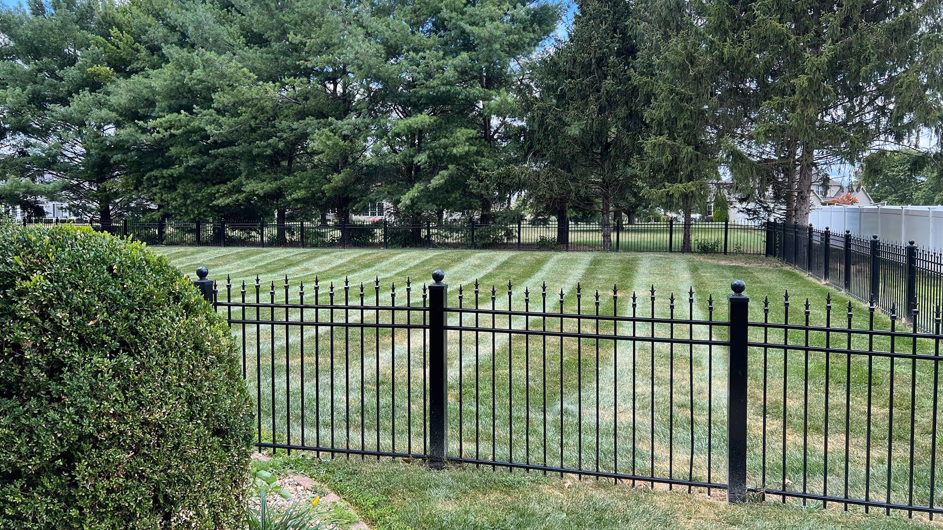Well maintained residential lawn in Charleston, Illinois