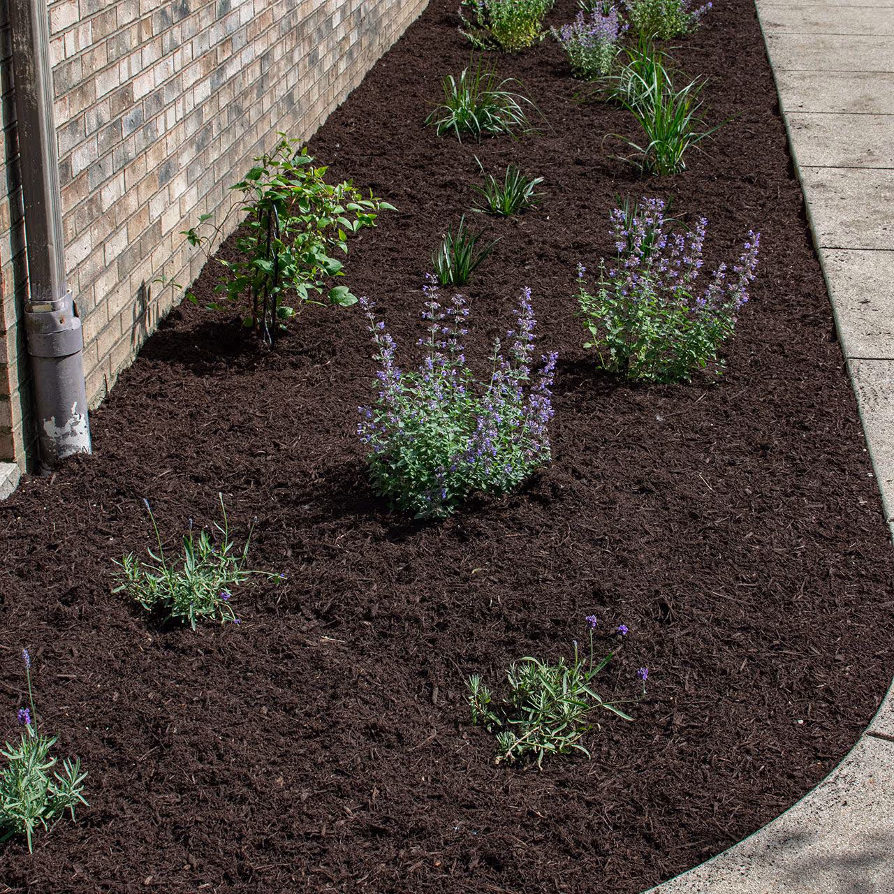 Premium landscaping services in Central Illinois