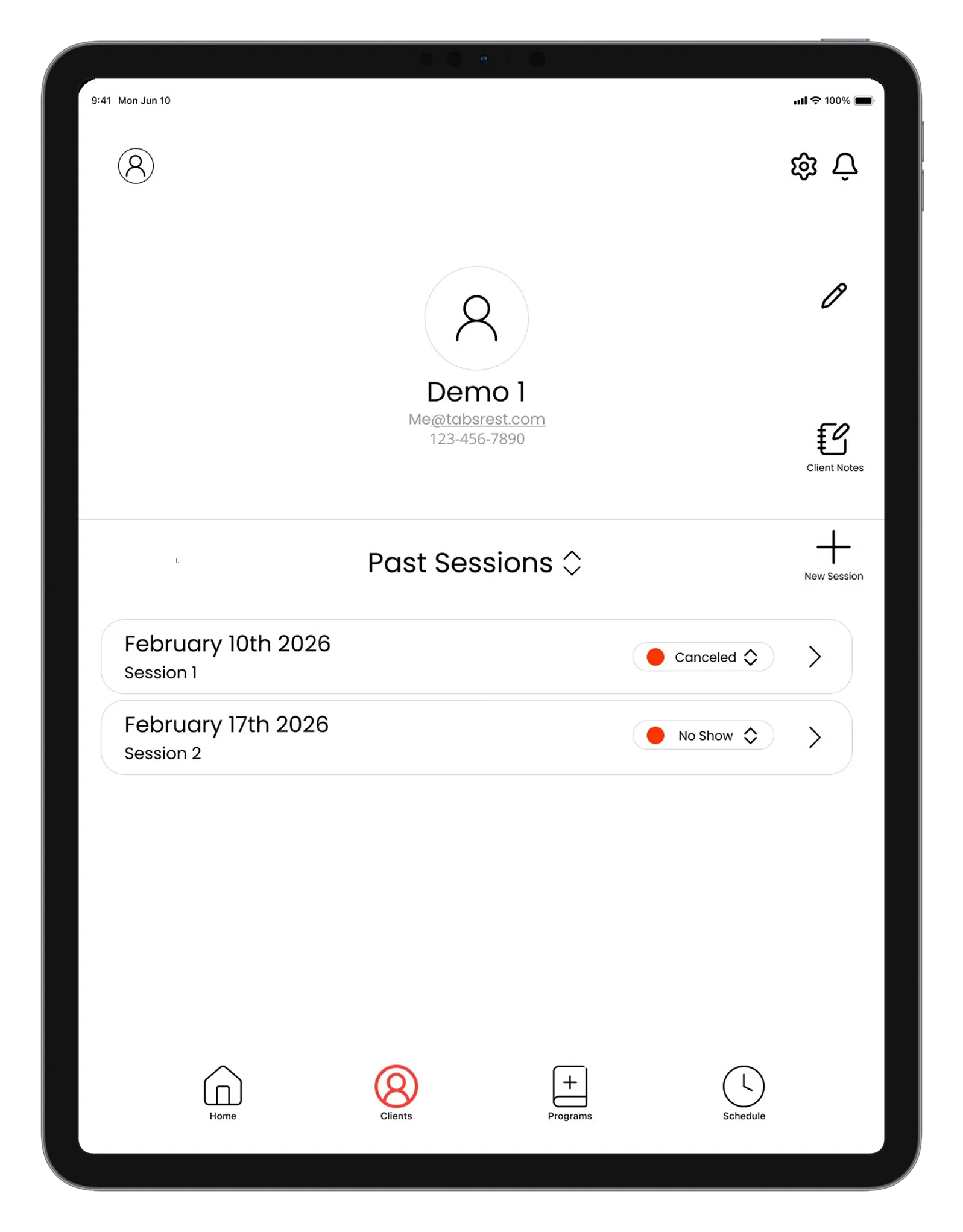App interface client details screen.