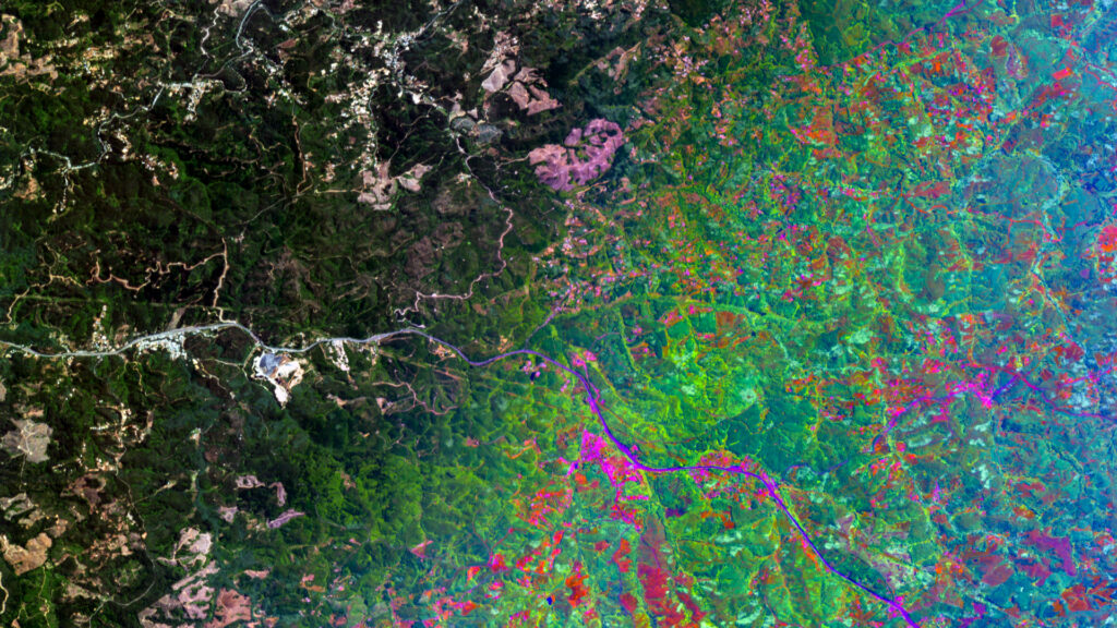 RGB and PCA dimensionality reduction of a hyperspectral image of forests outside of Concepción, Chile