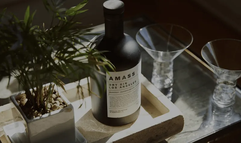 A bottle of AMASS gin hanging out on a sunny table next to a leafy plant and a couple of martini glasses—ready for happy hour vibes.