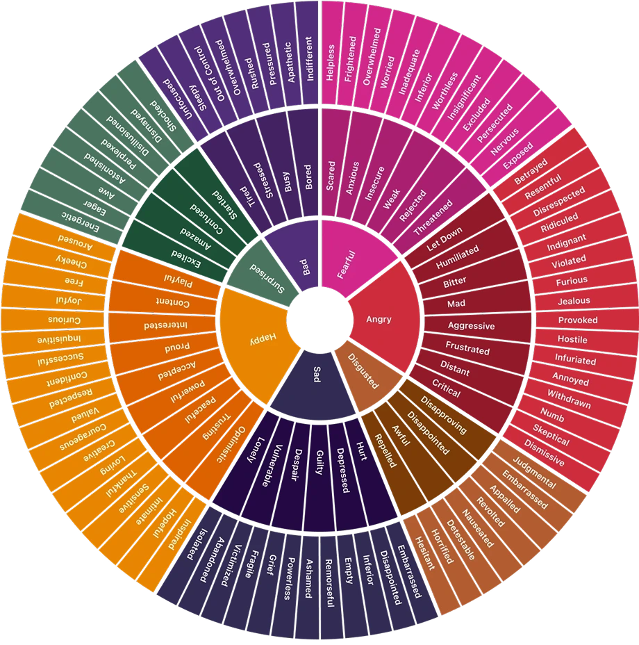 The Feelings Wheel