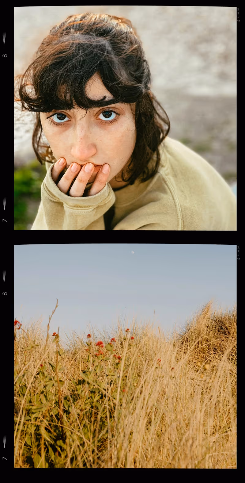 Film strip collage with top photo of a woman with dark hair and blue eyes resting her chin on her hand, and bottom photo of golden wheat field with small red flowers under a clear blue sky.