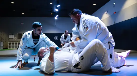 Adult Jiu-Jitsu