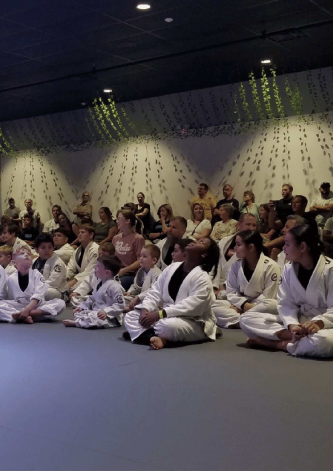 TAP Brazilian Jiu-Jitsu Academy