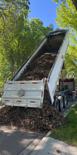 An image of a dump truck dumping brown mulch on the road so an Edmonton landscaping company can use the materials for a new project.