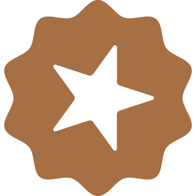 Bronze package icon