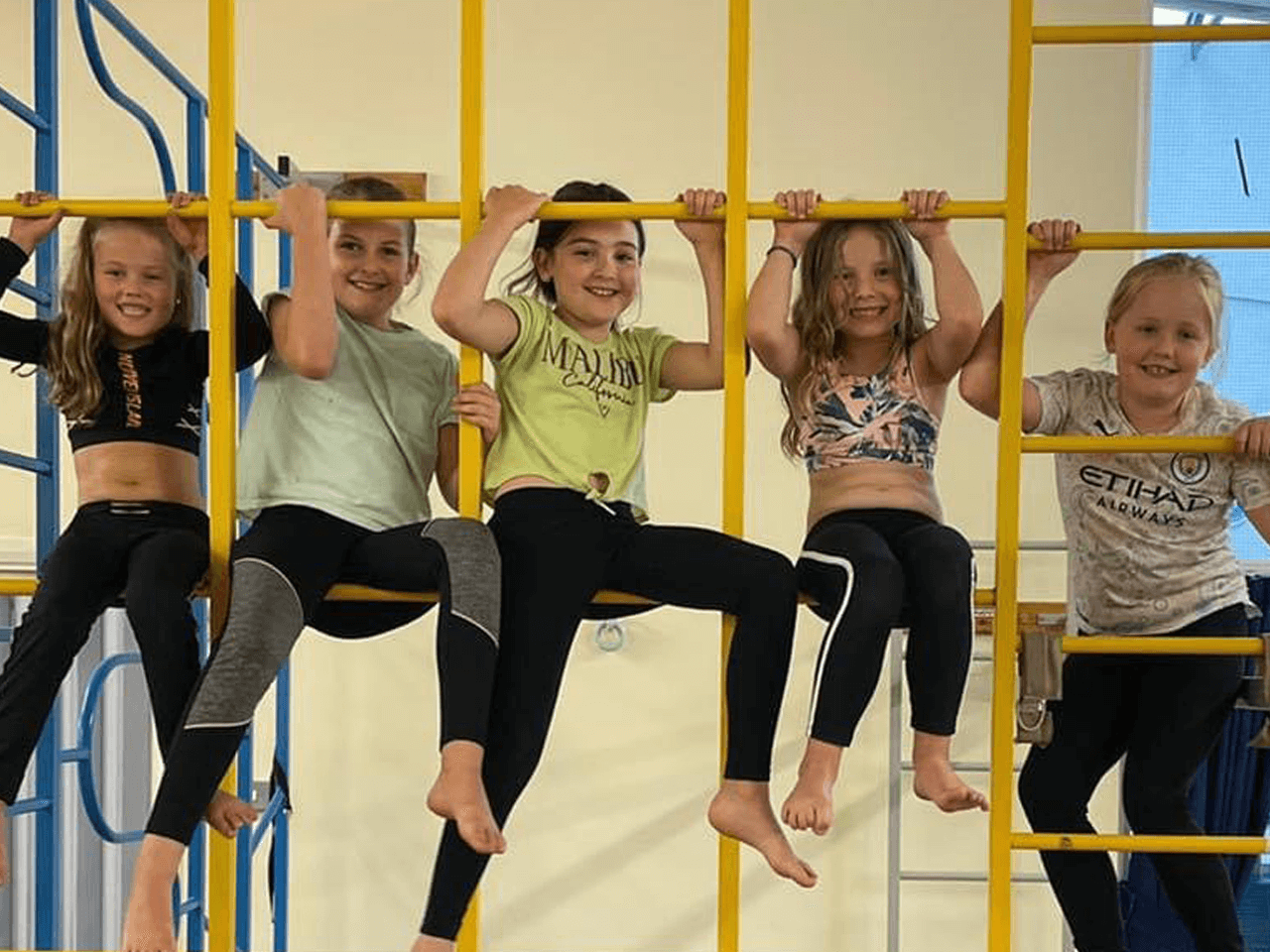 A group of smiling girls hanging on a climbing frame in a sports hall.