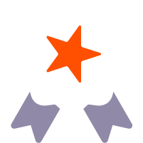 An illustration of a rosette.