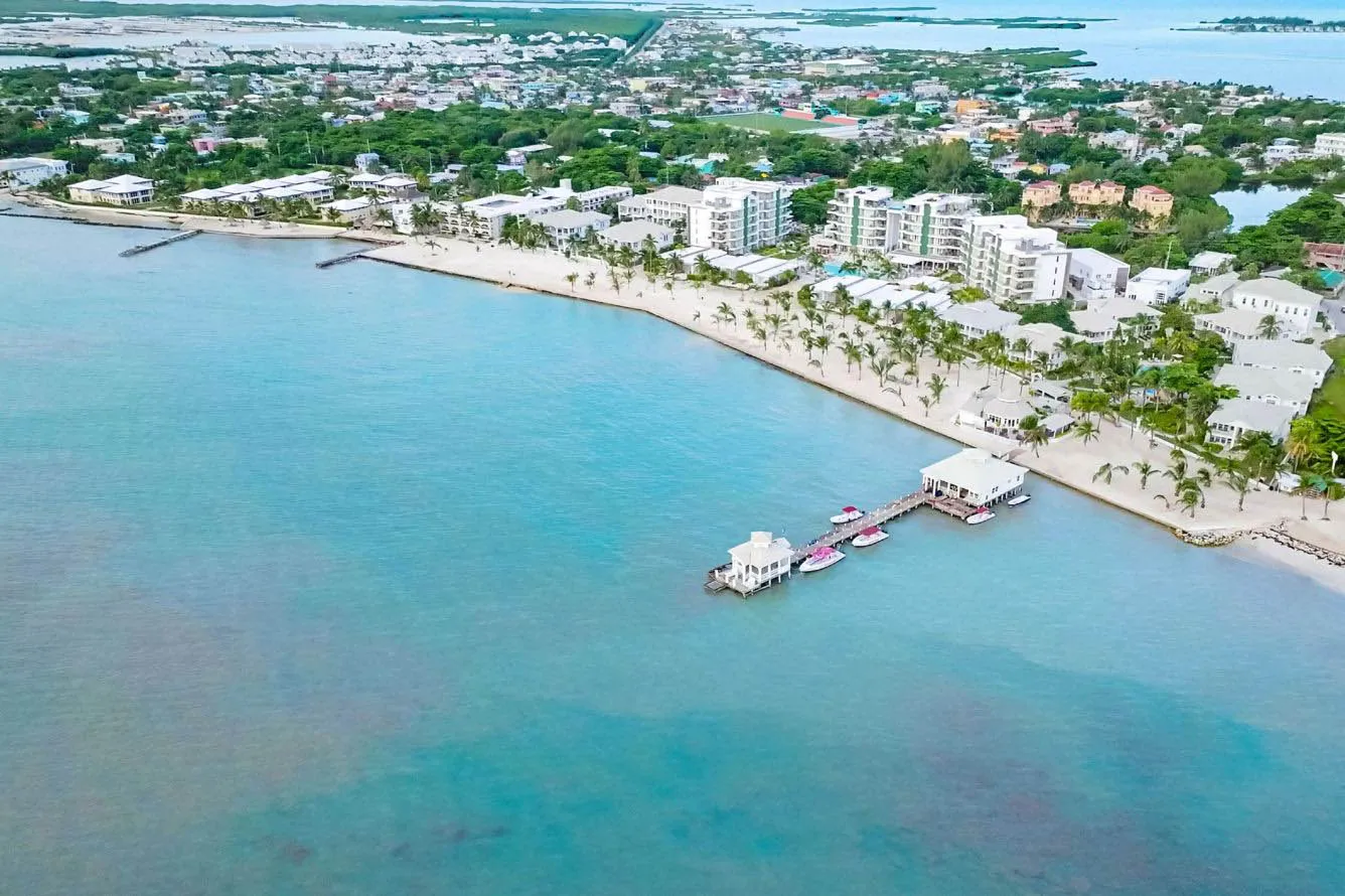 Dedicated professional assistance