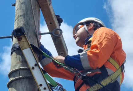 Chorus WTC 3 – Overhead Network