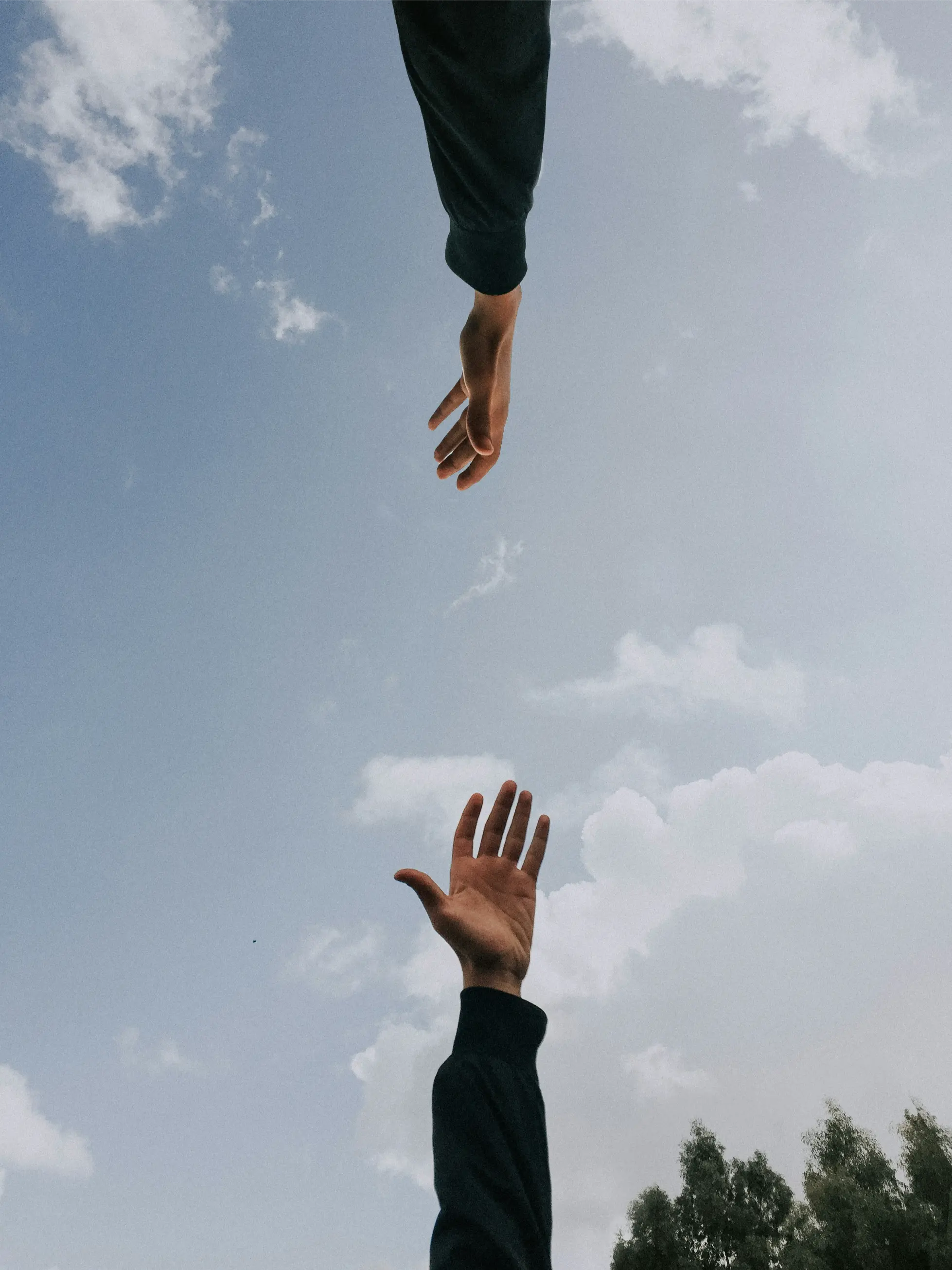 hands reaching toward each other to touch with a blue background and many trees behind them