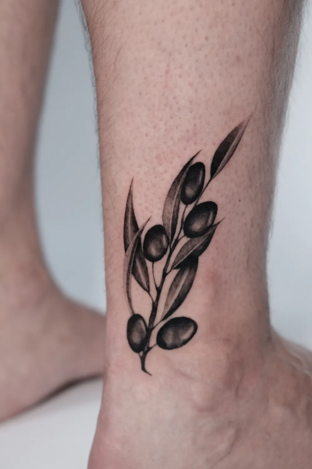 Fineline Olivenzweig Tattoo am Knöchel - Tattoo Artist Hamburg