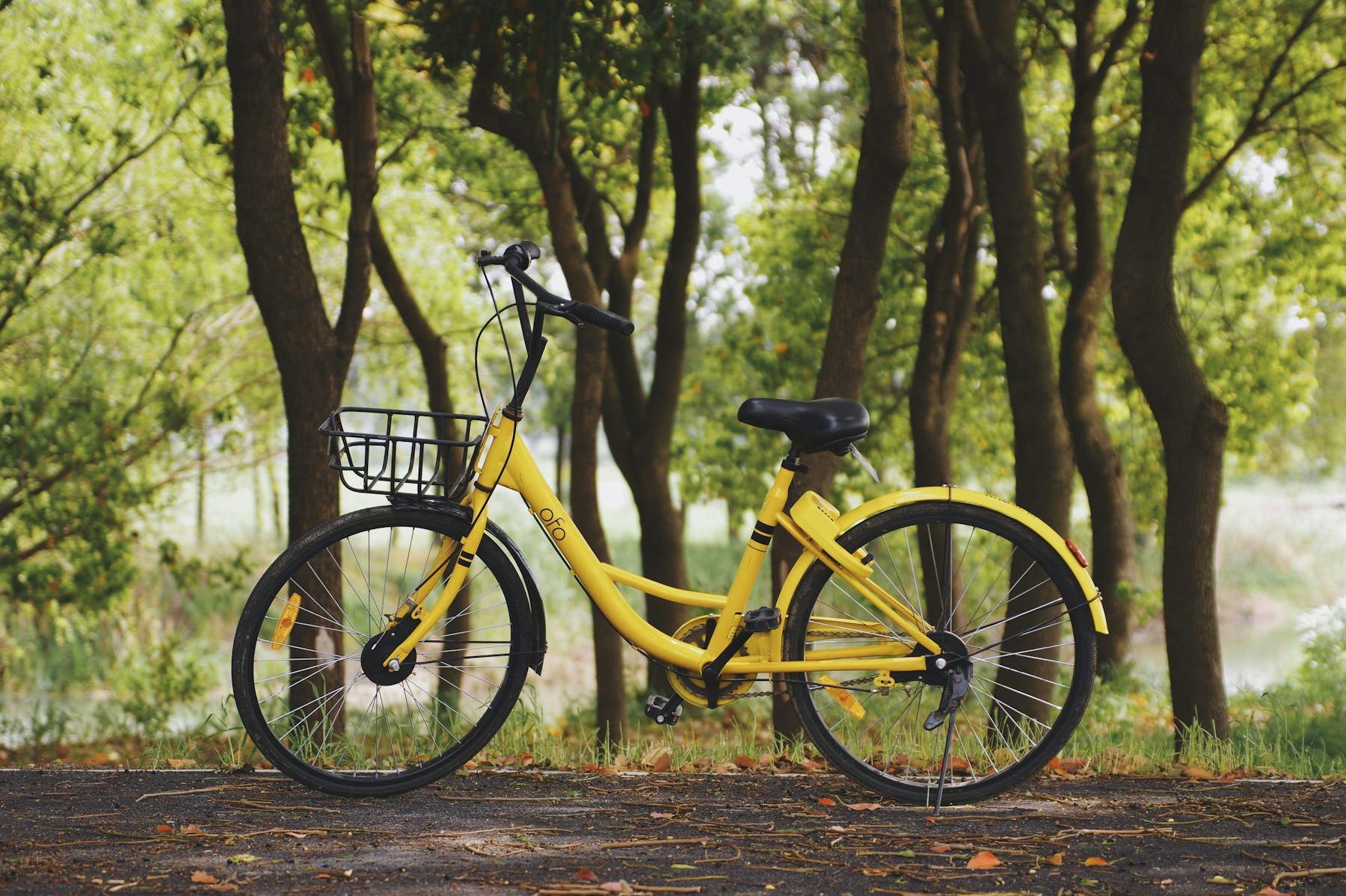 Gul cykel på en skovsti. Stemningsbillede til DKbike.