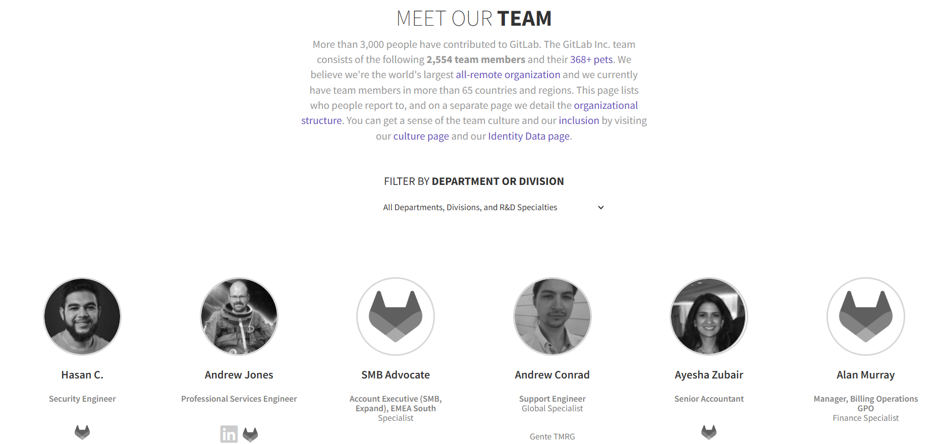 Screenshot from GitLab team page website