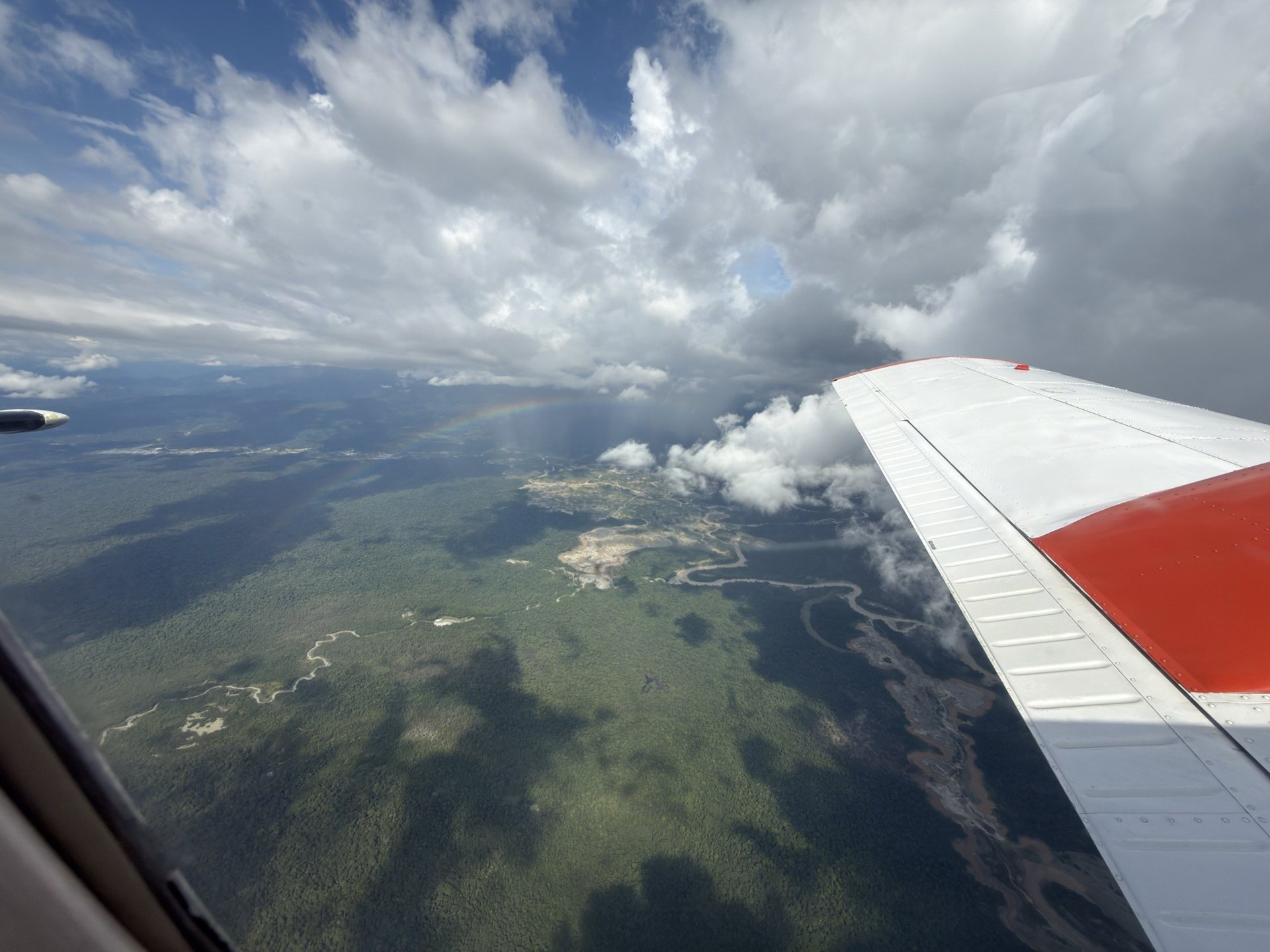 Aerial view of a river winding through the San Juan forest