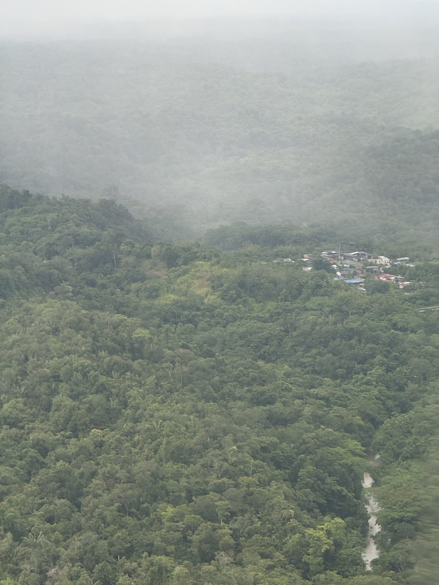 Aerial view of dense rainforest canopy in the Chocó