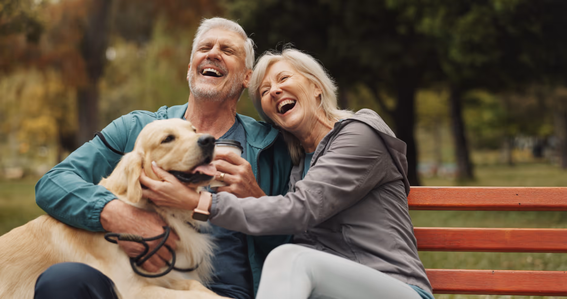 couple on bench with dog stock image