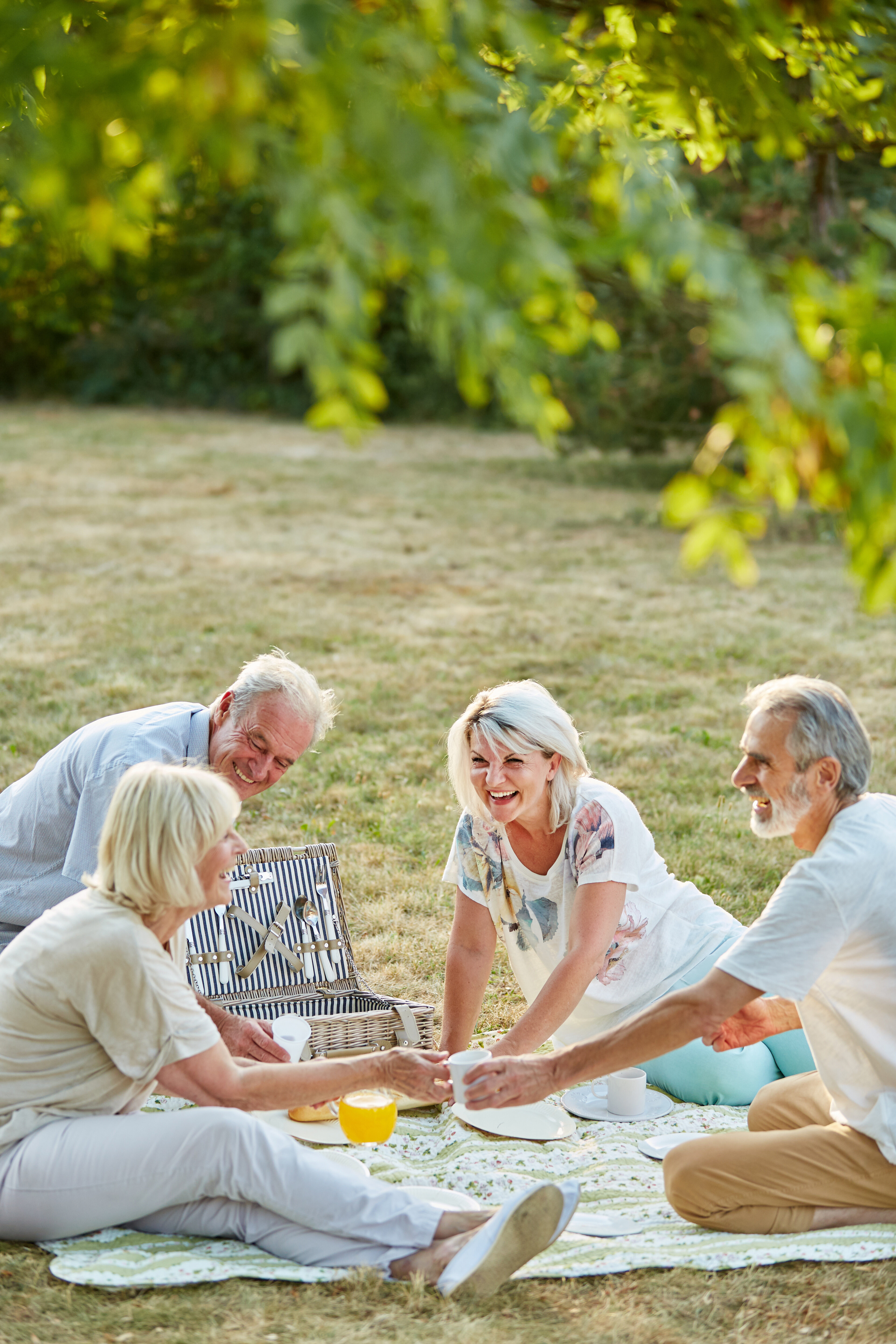 Four older adults enjoying a picnic on a blanket in a grassy park, smiling and toasting with white cups.