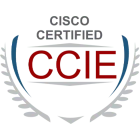 Badge Cisco Certified Internetwork Expert (CCIE) avec un laurier autour.