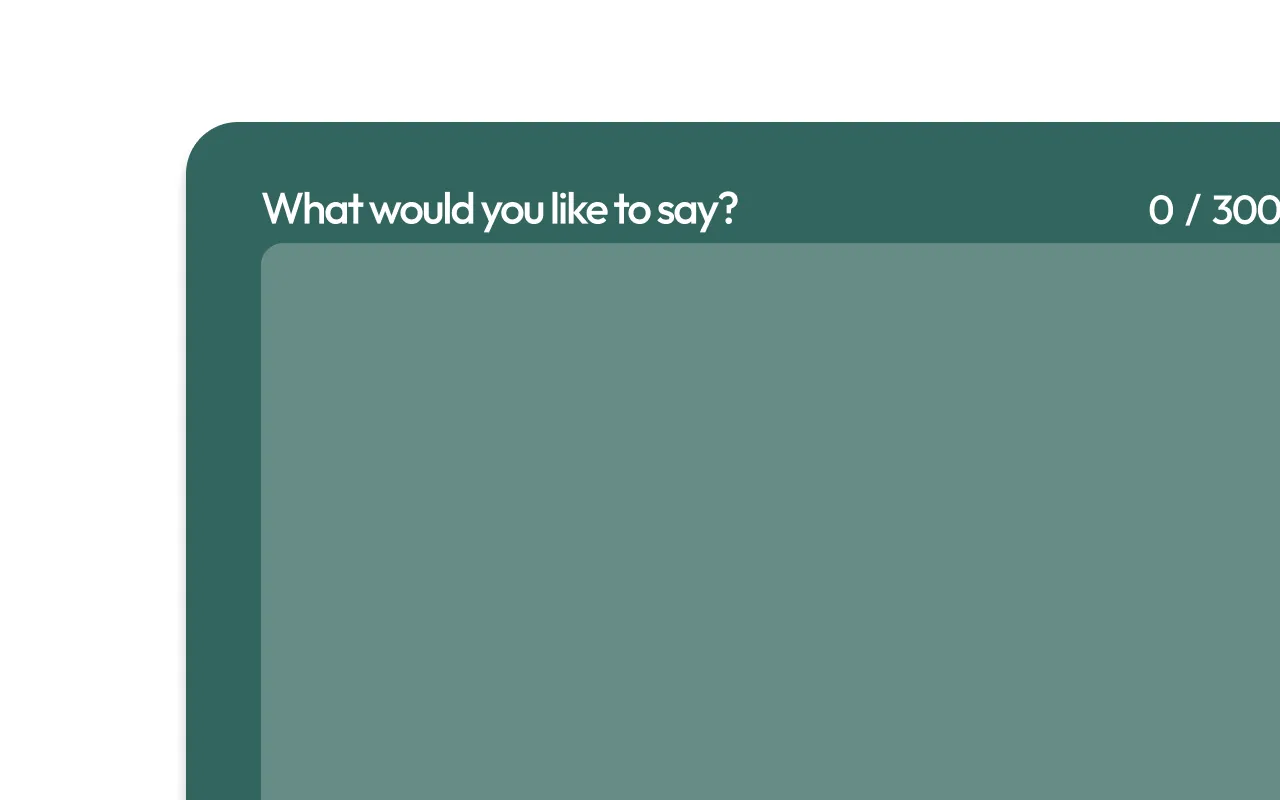 Text input box with the prompt 'What would you like to say?' and a character count showing 0 out of 300.
