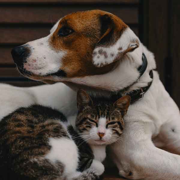 Real Producers Magazine