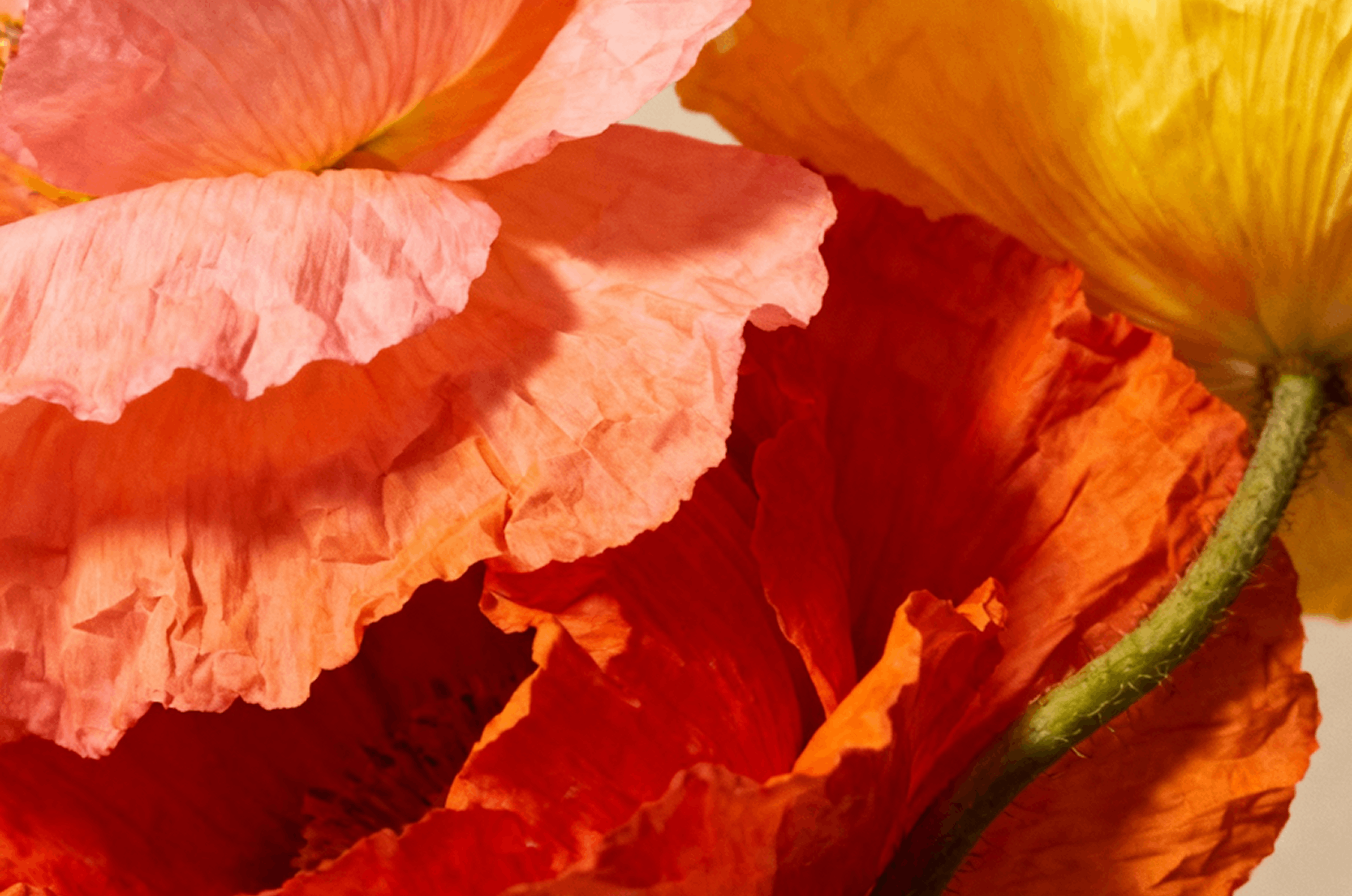 Using AI summaries to simplify weekly performance reviews