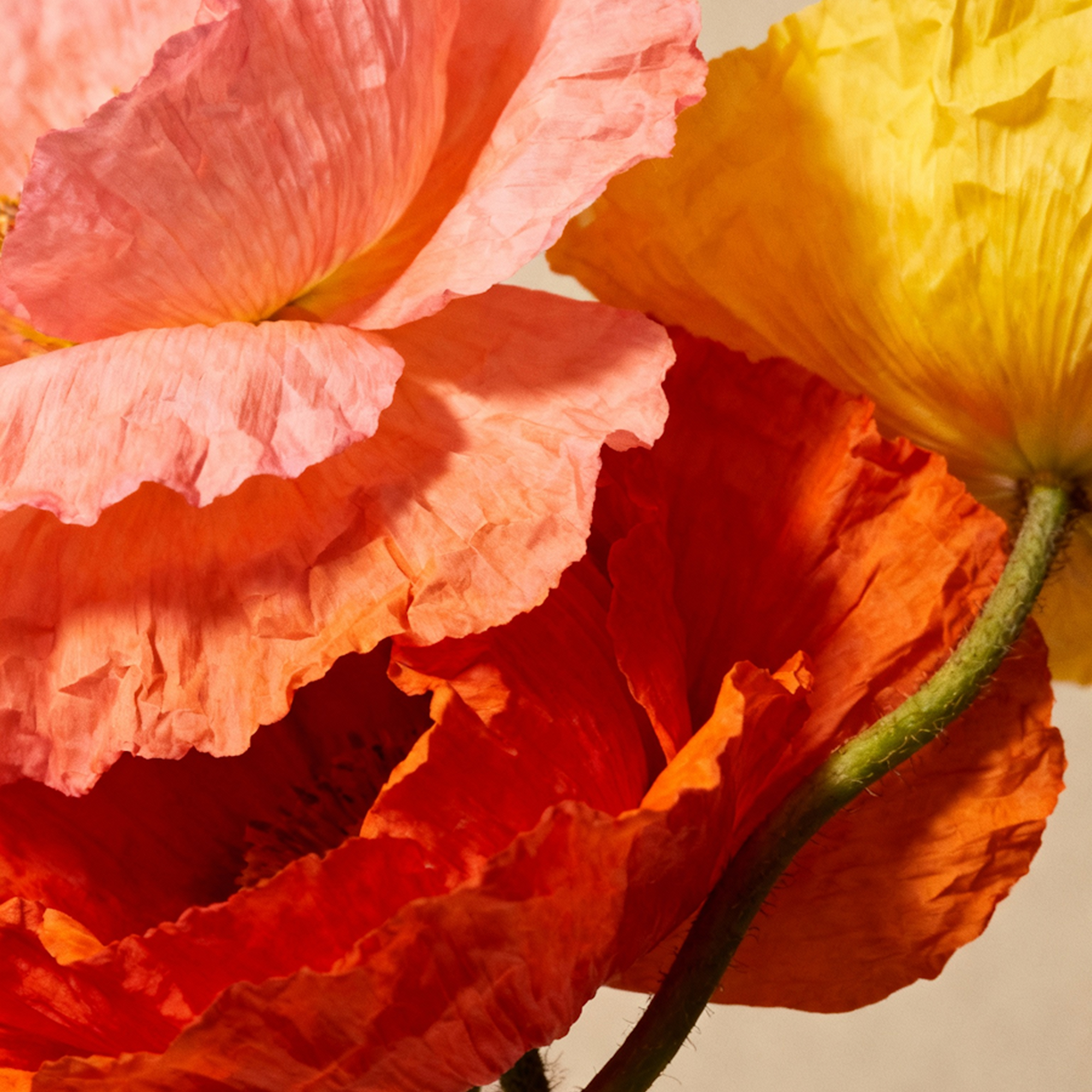 Using AI summaries to simplify weekly performance reviews