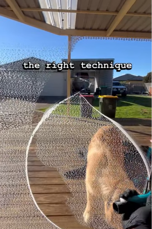 JA Window Cleaning video thumbnail